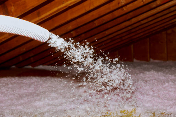 Best Insulation Maintenance and Repair in Belton, MO